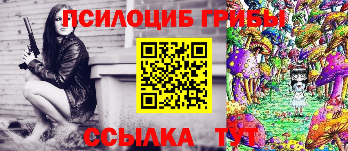Галлюциногенные грибы Cubensis Прохладный