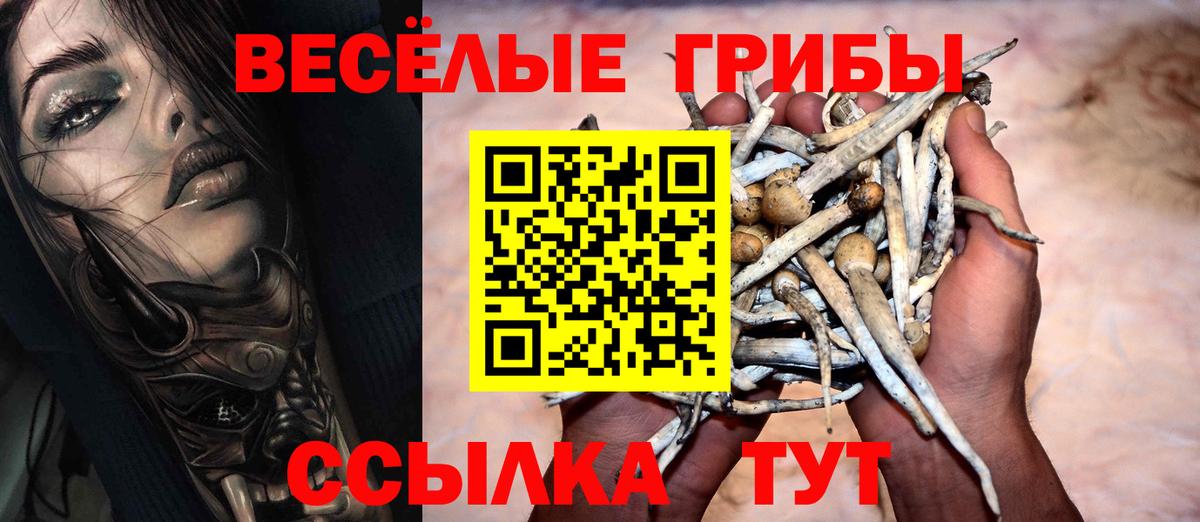Галлюциногенные грибы ЛСД  где купить   Вход с VPN  Прохладный  Псилоцибиновые грибы прущие грибы 
