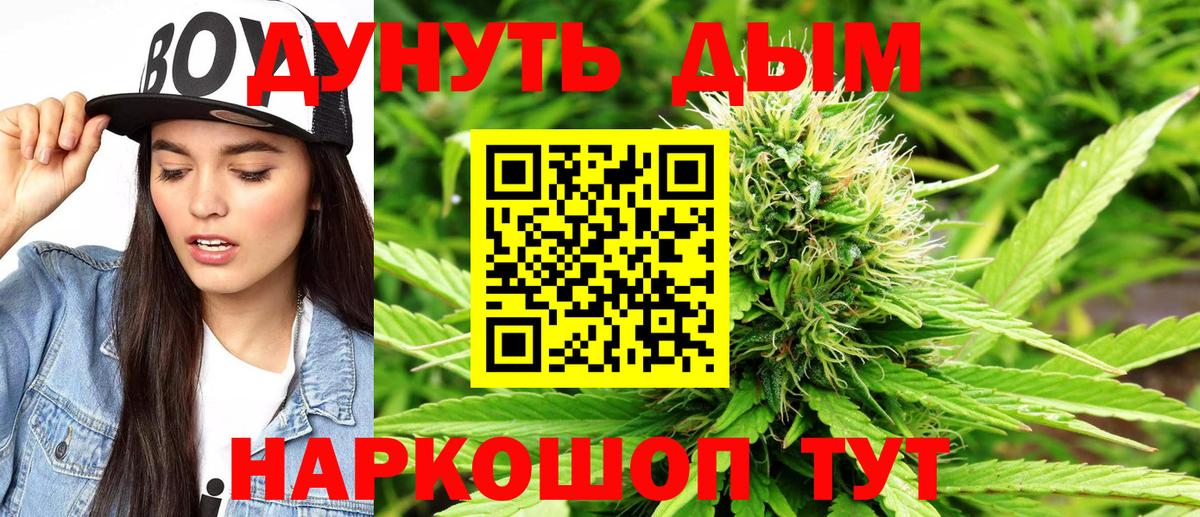 Конопля сатива Прохладный